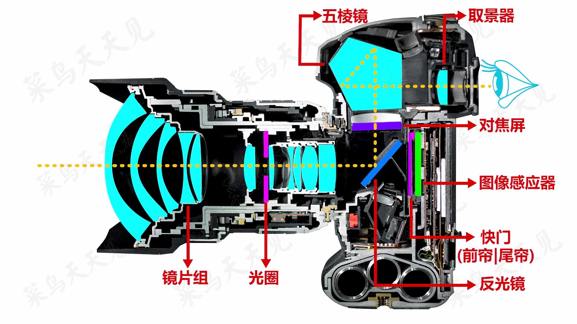 双反相机原理图片