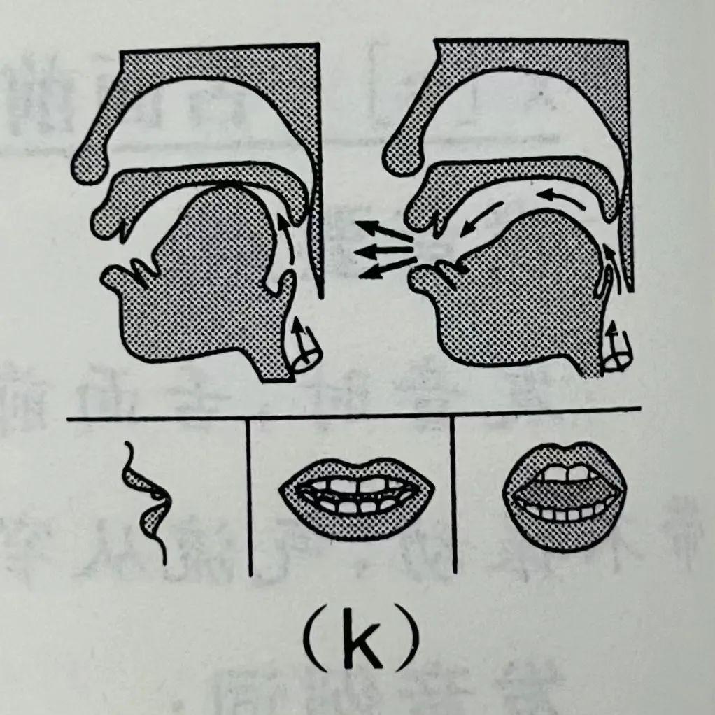 软腭上升图片