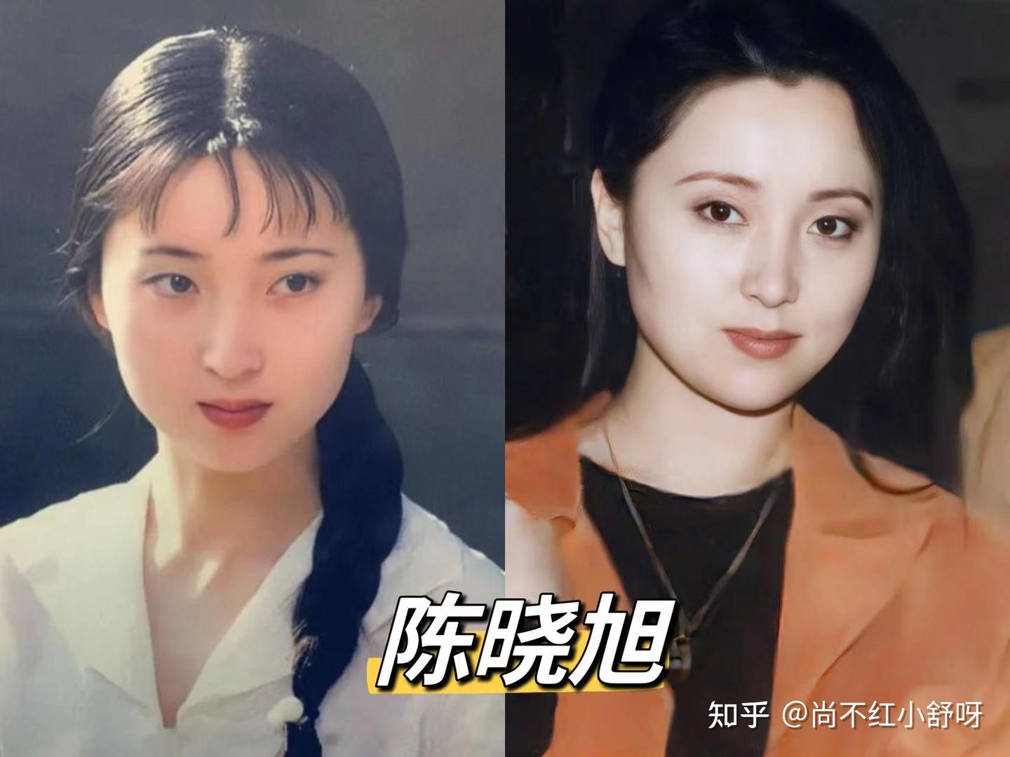 陈晓旭 