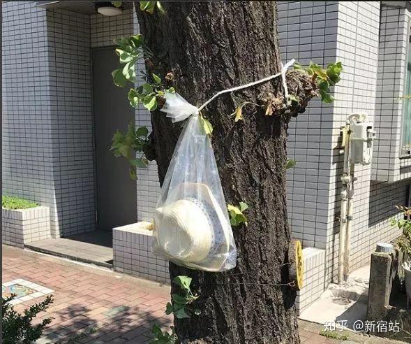 日本拾物者的脑洞不容小视