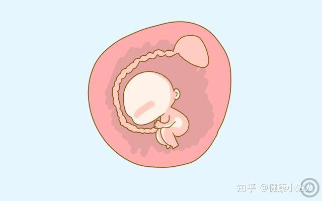 什么是羊膜干细胞这篇文章带你研究