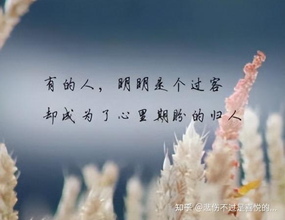 适合发朋友圈的高情商句子
