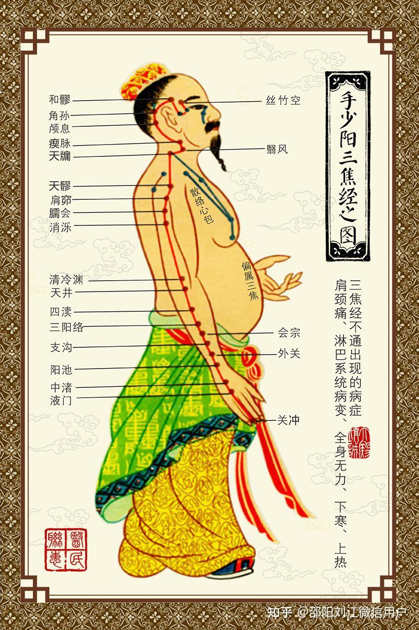 十二经脉:手厥阴心包经和手少阳三焦经(26/5) - 知乎