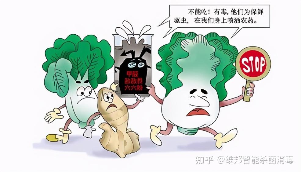 我国农药残留限量标准突破1万项使用臭氧水清洗果蔬幸免农残保障健康