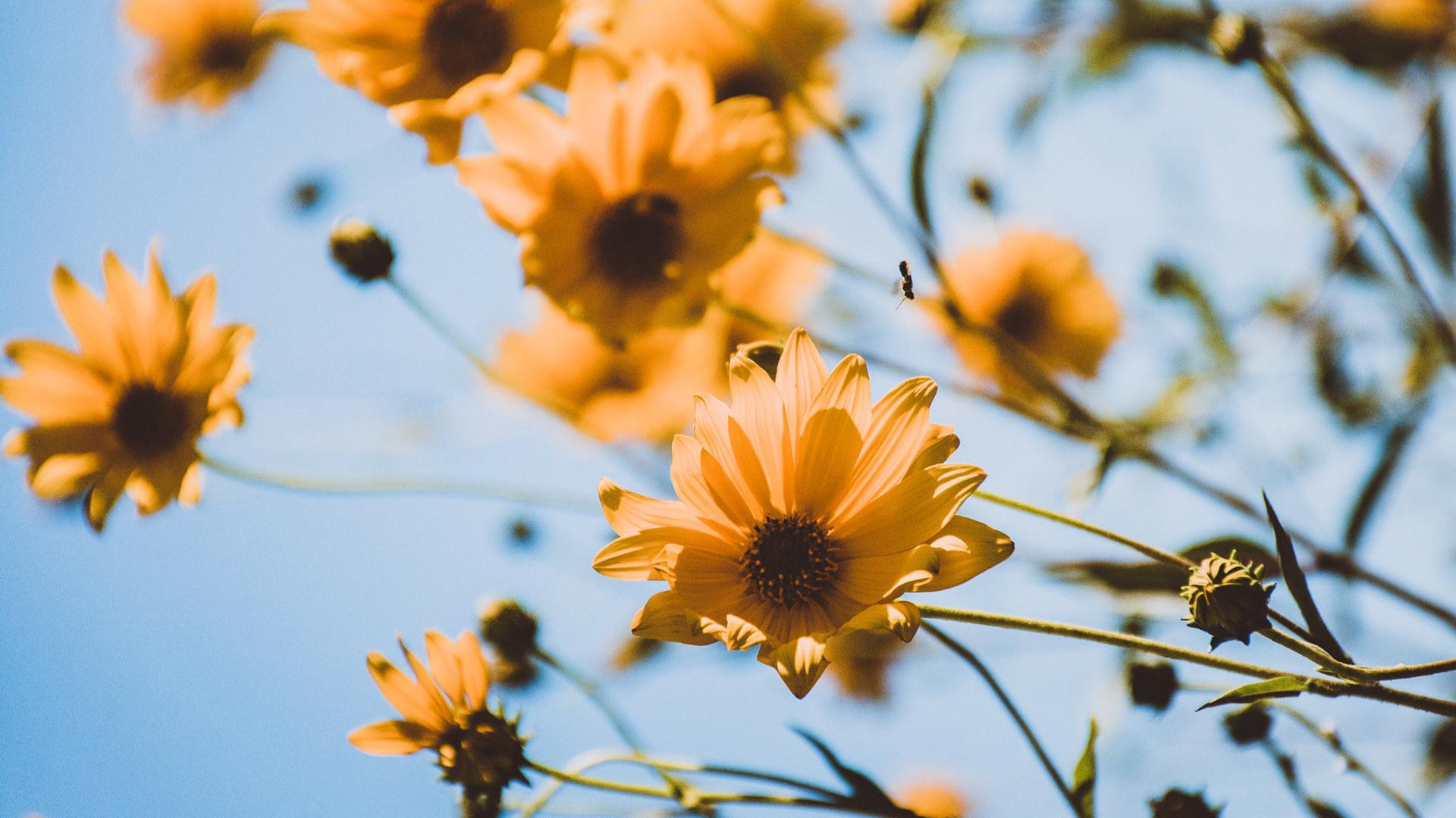 简约电脑壁纸,每一张都是绝版