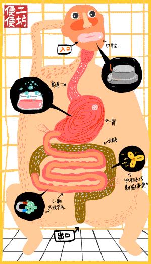 大便结构图图片