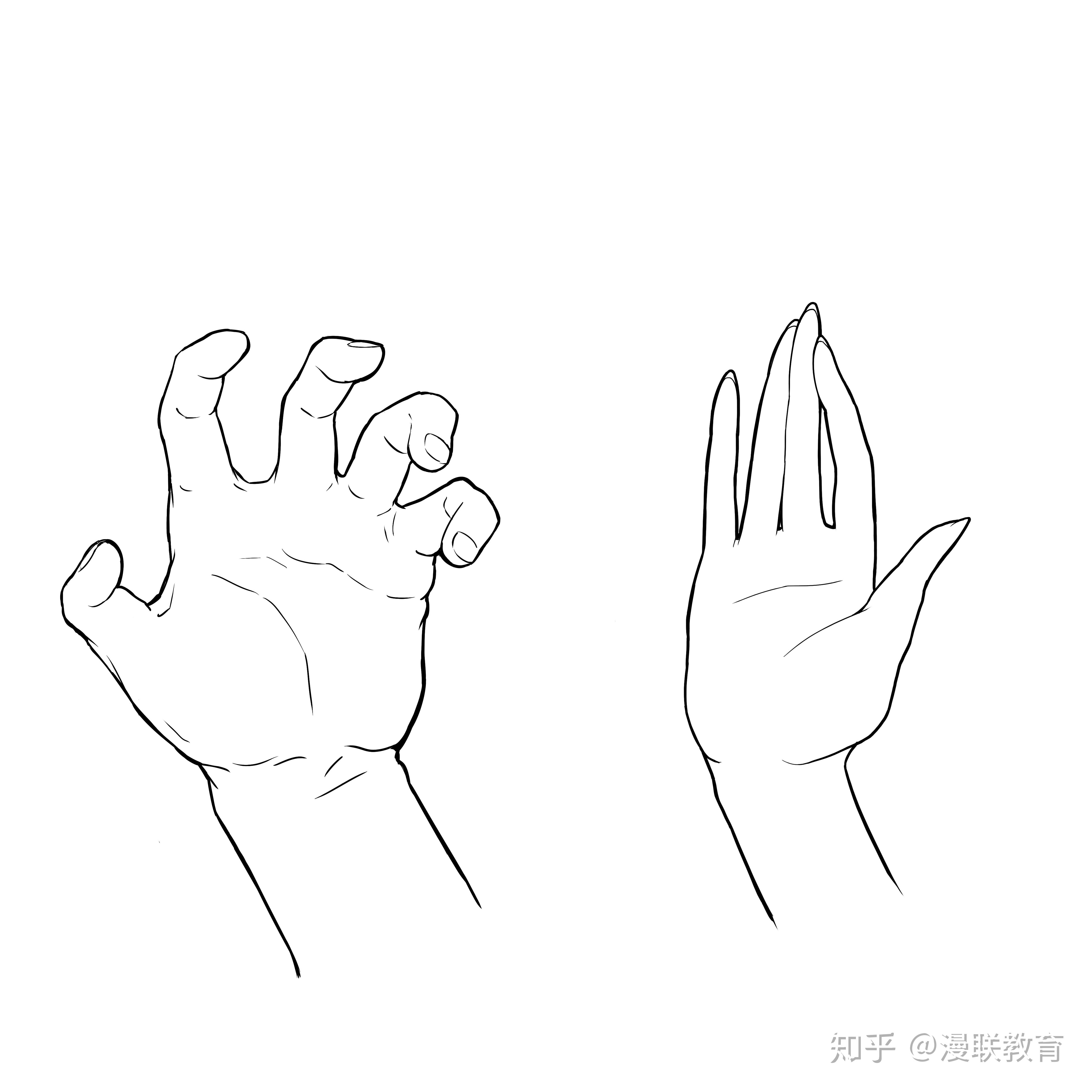 手形的画法图片