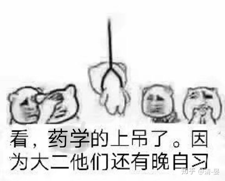 女生学什么专业比较好就业,不希望当老师医生