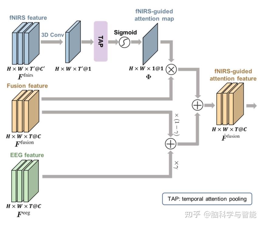 FGANet—混合EEG-fNIRS脑机接口的fNIRS引导注意网络 - 知乎