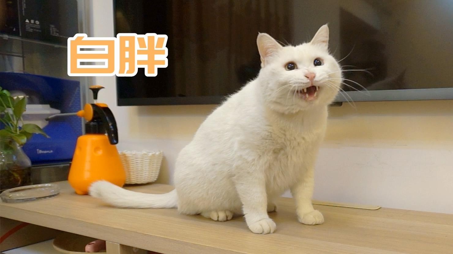 看完这个简简单单学会givemefive!