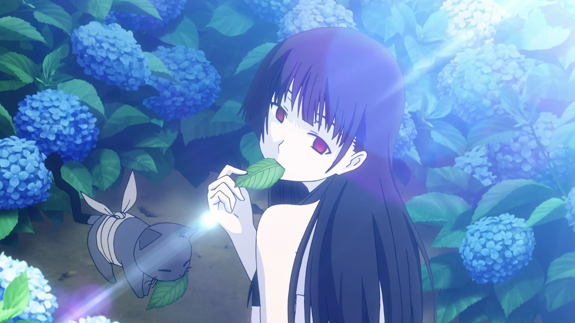 说说紫阳花 - 知乎