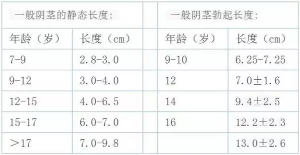 男人丁丁什么时候停止发育？到底有没有第二次发育！ - 知乎