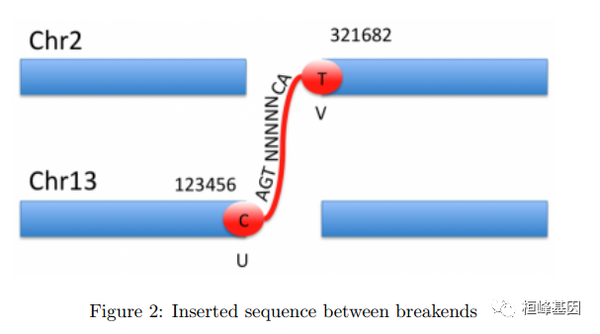 DNA 5. 基因组变异文件VCF格式详解 - 知乎