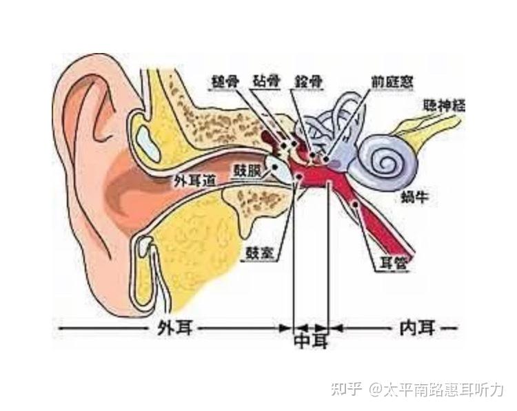 佩戴助听器对中耳炎有效果吗? - 知乎