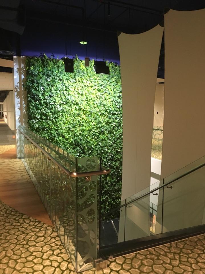 中国人在新加坡sea集团garena shopee工作是