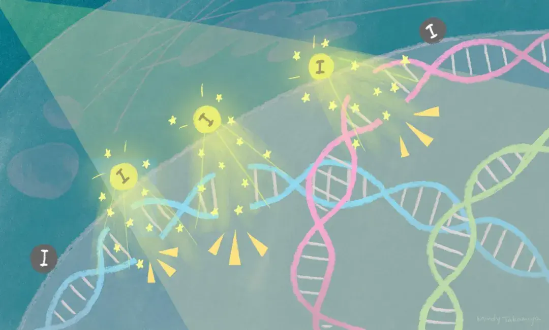 對付棘手的癌細胞科學家終於用上了量子力學的力量