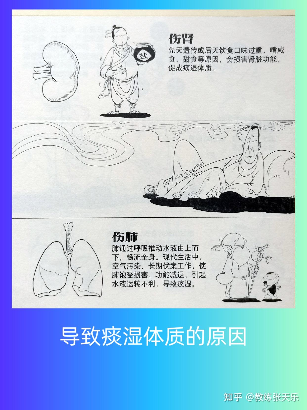 中医:痰湿体质 - 知乎