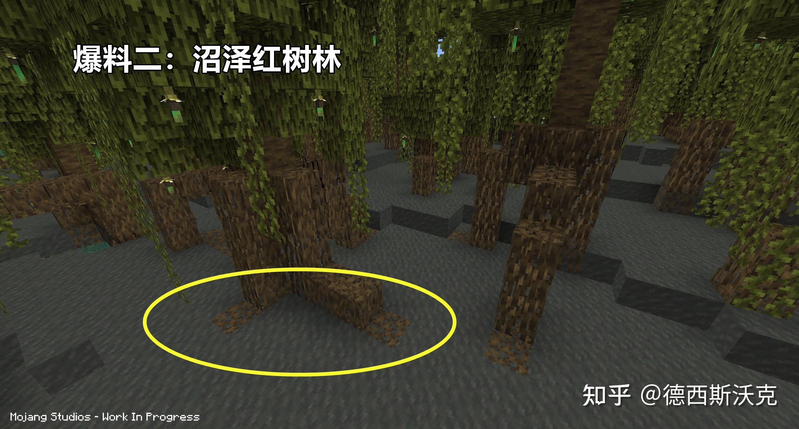 19沼泽红树林中,红树木的根部有一种类似"发光地衣"的方块,不少