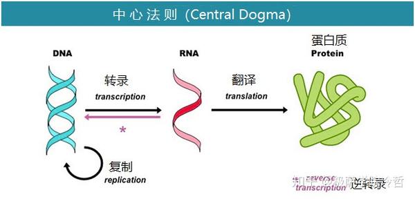 知乎专栏