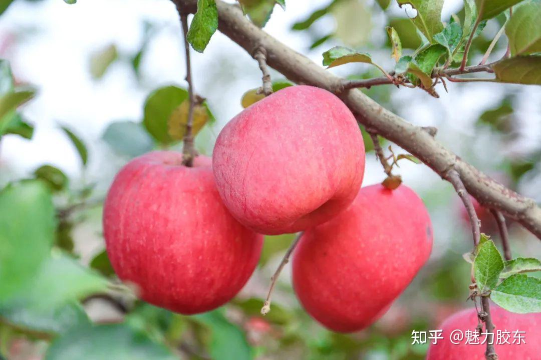 摄影丨孙国明