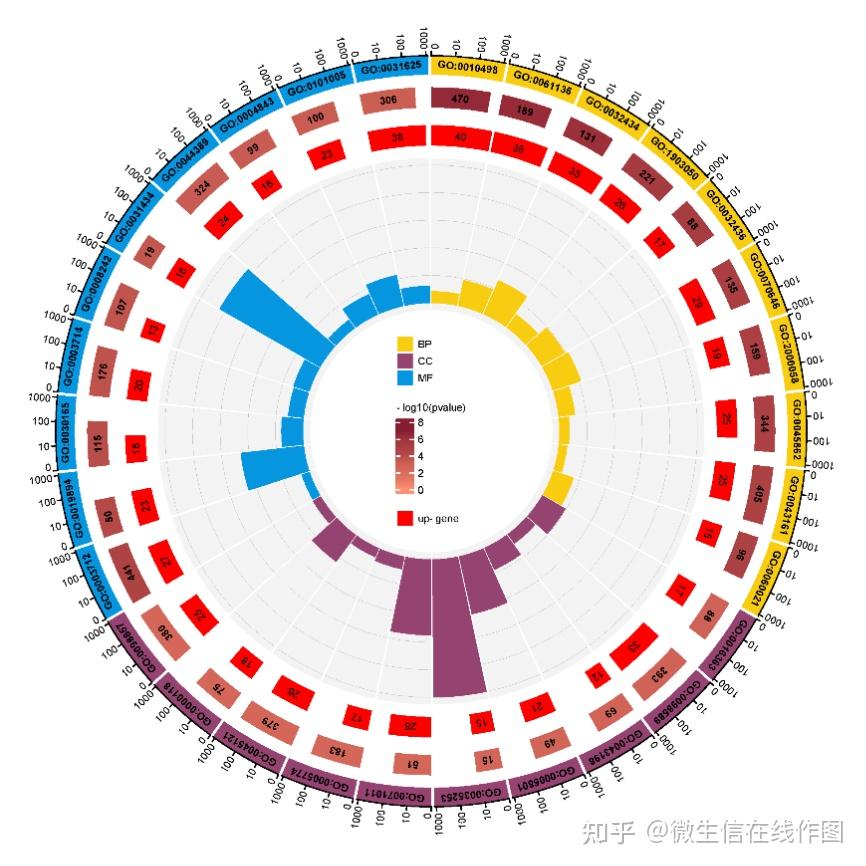 将GO、Pathway富集结果整合在一张高颜值圆圈图上 - 知乎