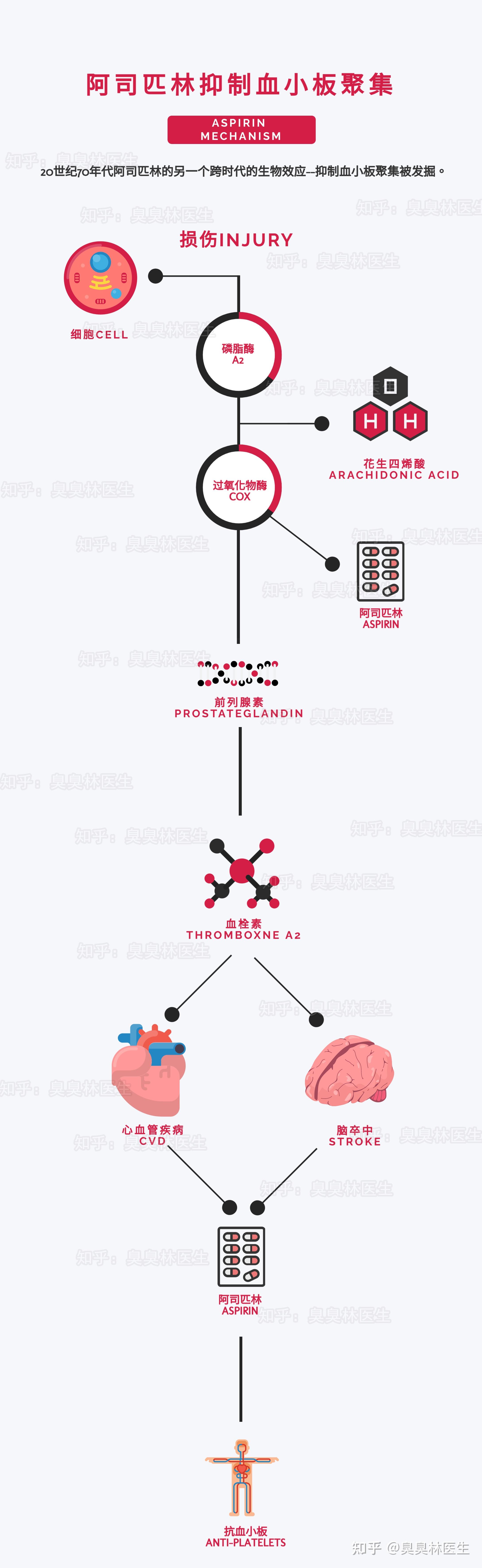 二,阿司匹林药理机制 :巅峰—谷底—重回巅峰