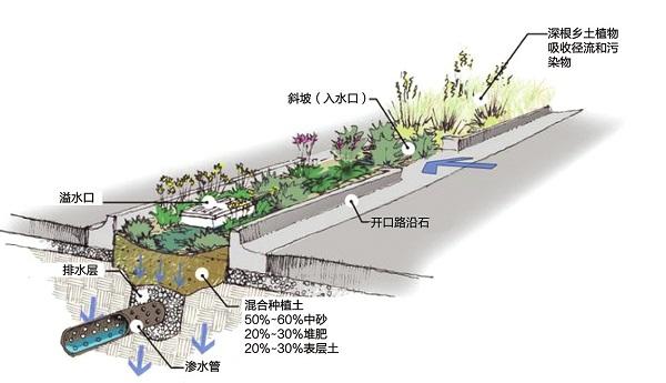 海綿城市 透水鋪裝 彩色路面 透水路面 智慧城市 水生態治理 13 人