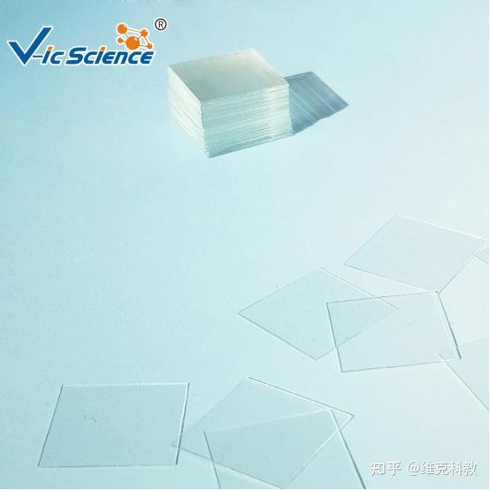 载玻片和盖玻片的区别 - 知乎