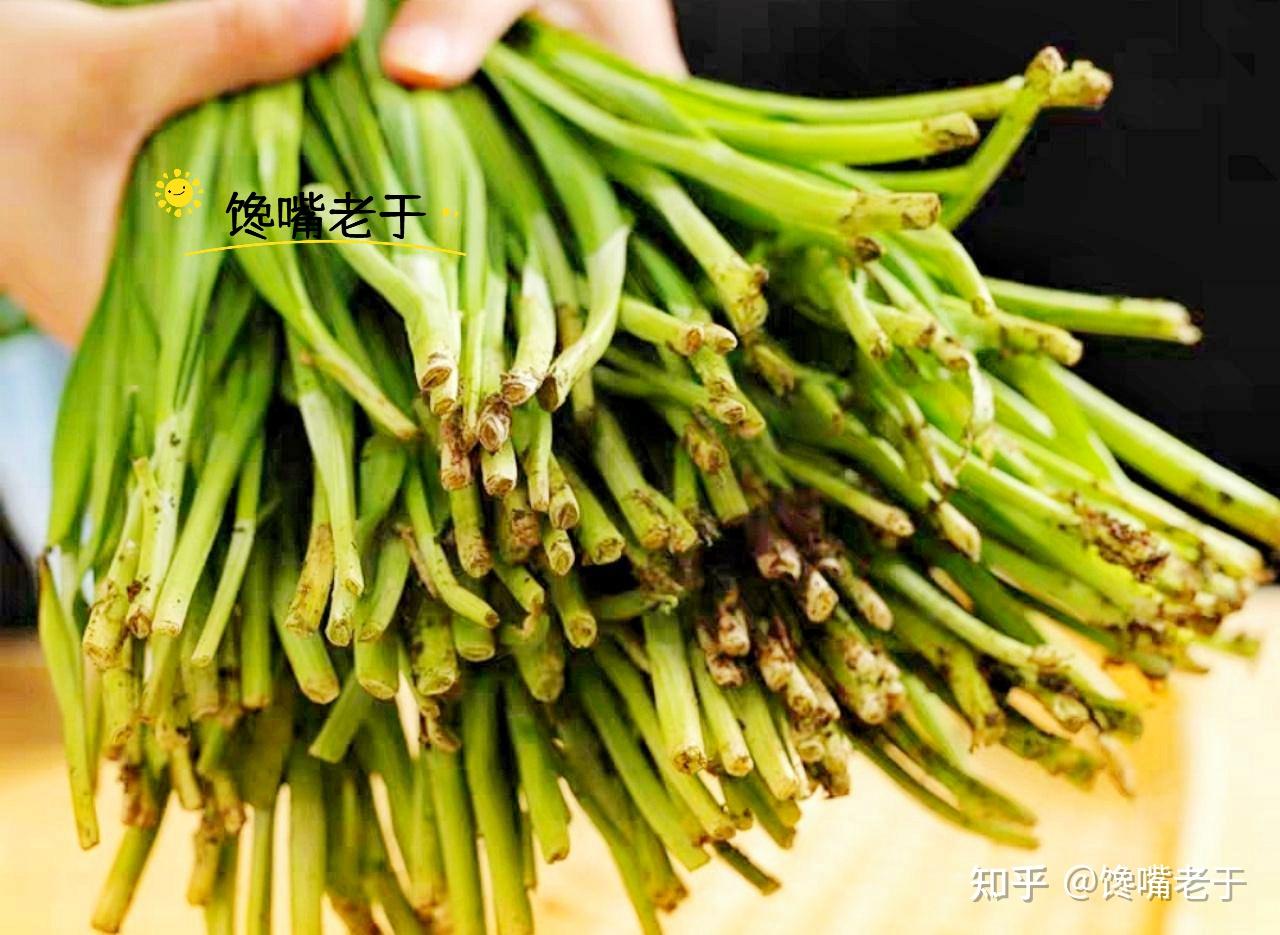 买春韭时,要分清“宽叶”和“细叶”区别挺大,买错嚼不烂还烧心 - 知乎