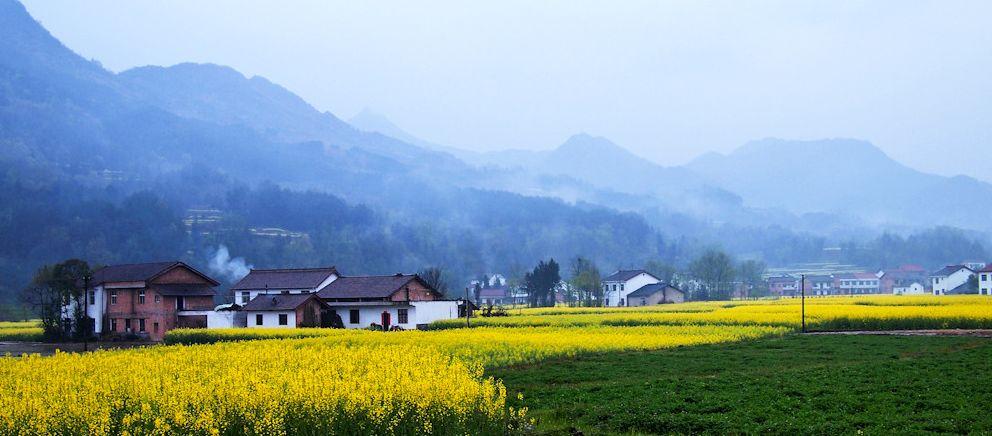 3月 | 中国最美油菜花海观赏指南地图 - 知乎
