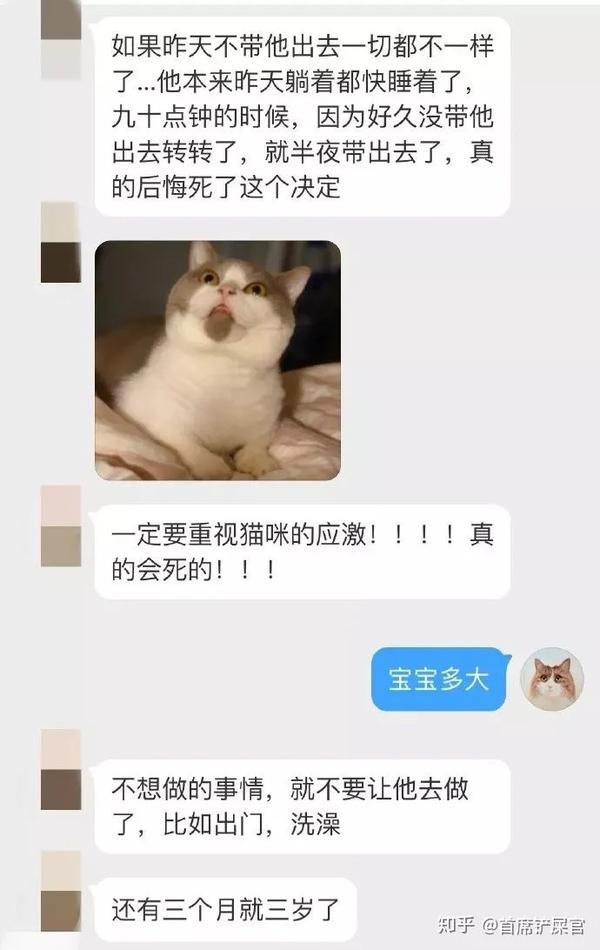 一定要注重猫咪应激反应 真是会死的 知乎