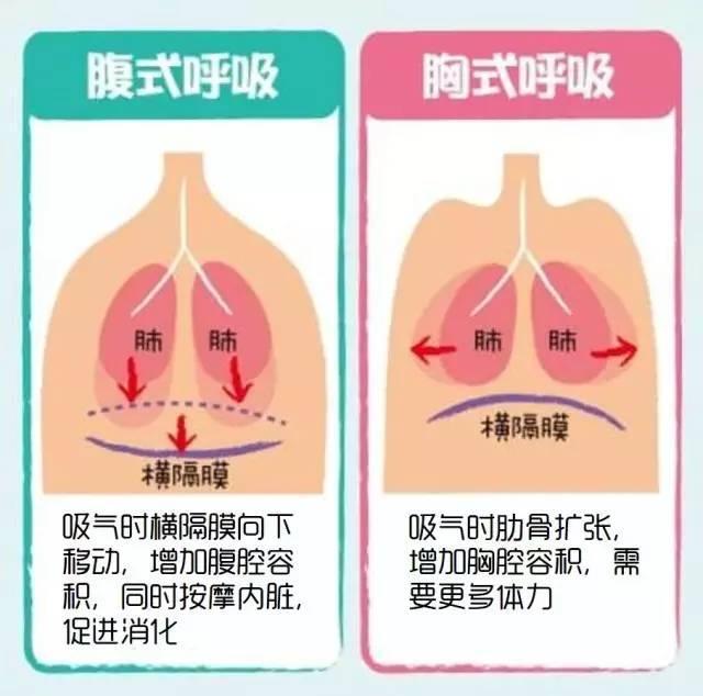 声乐老师拍了拍我的肚子说这不是腹式呼吸 知乎 声乐老师拍了拍我的肚子说这不是腹式呼吸 知乎