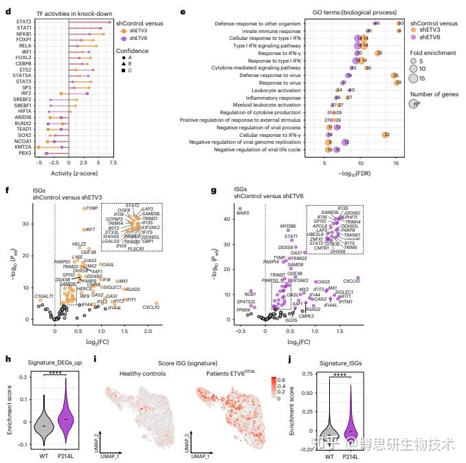 Nature immunology 转录抑制子ETV3和ETV6调控单核细胞向分化 知乎