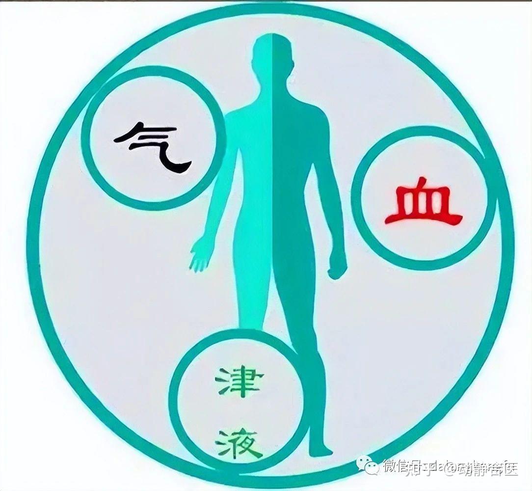 中医常论气血，那气血到底是什么东西？扁鹊告诉你 - 知乎