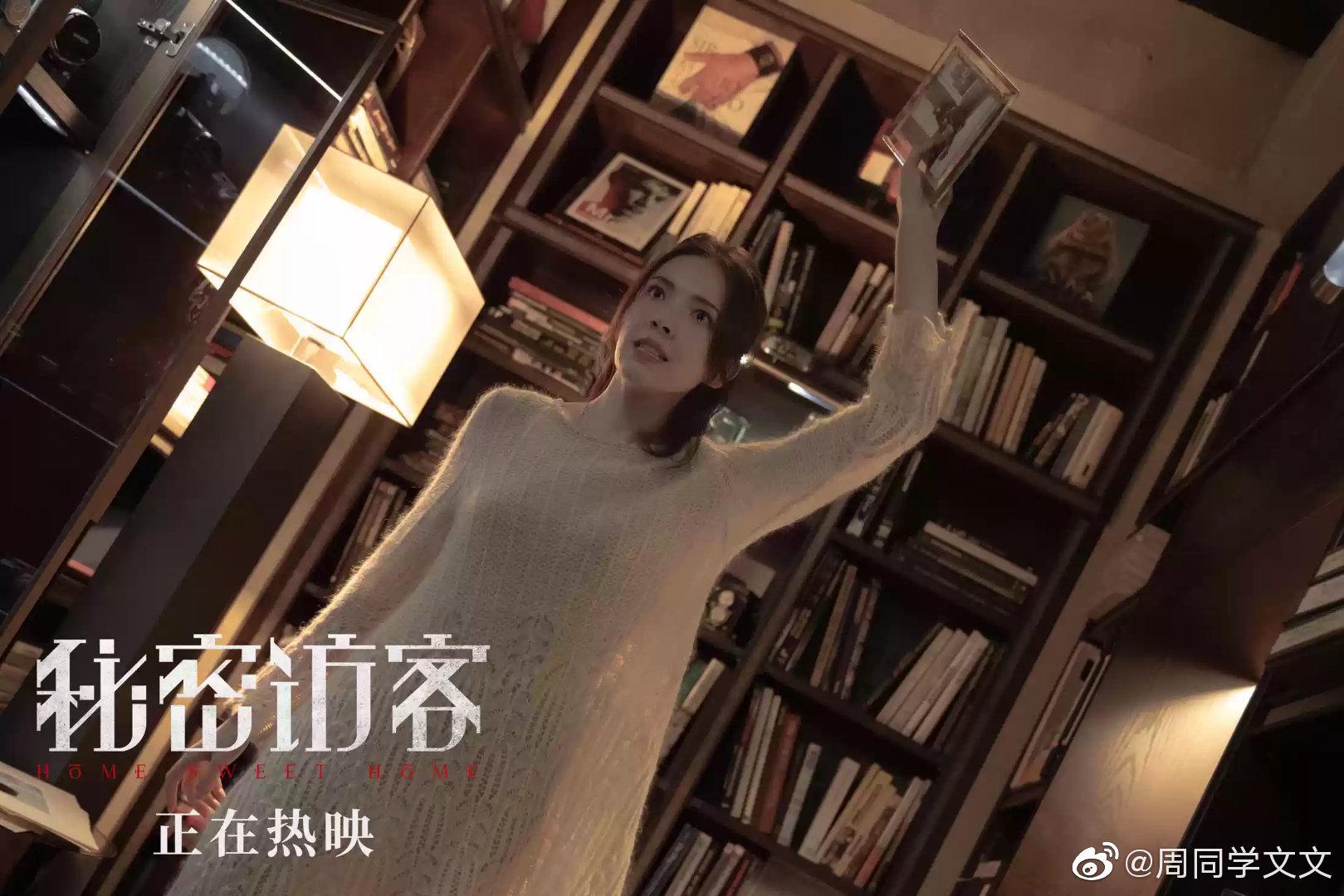 《秘密访客》它真的很烂吗?但我很喜欢,你呢?