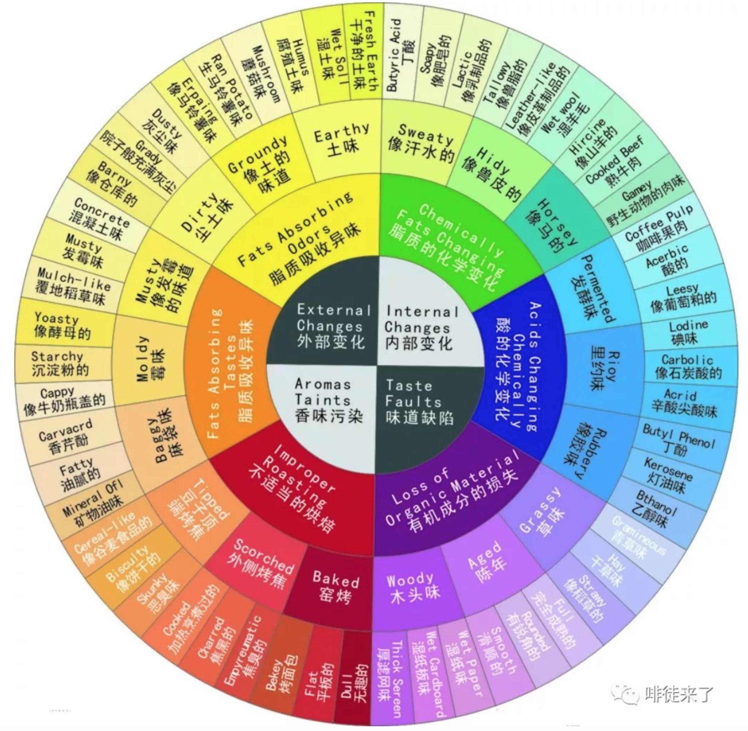 课堂咖啡杯测实操中sca杯测表的解读及评分标准