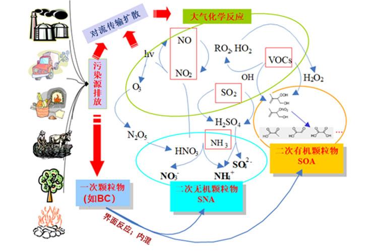 Pm10 And Pm2.5 Health