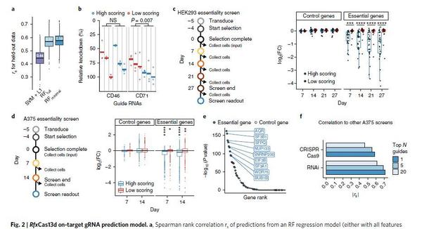 Nature Biotech. | 基于Cas13筛选的RNA设计 - 知乎