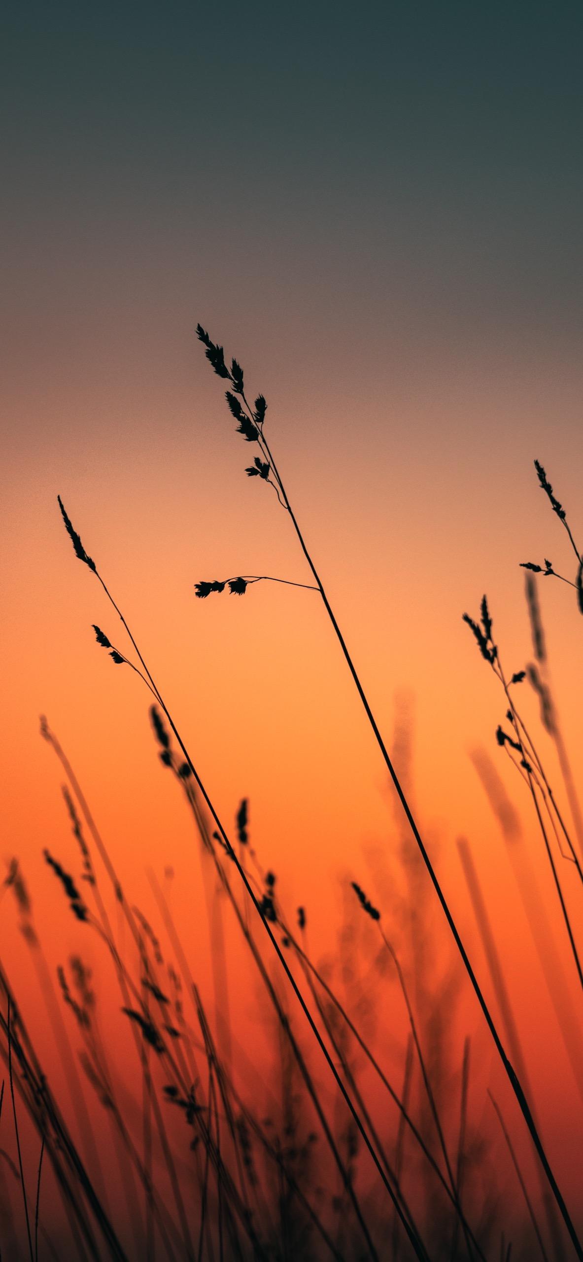 有没有什么可以拿来当壁纸的唯美风景图? - 知乎