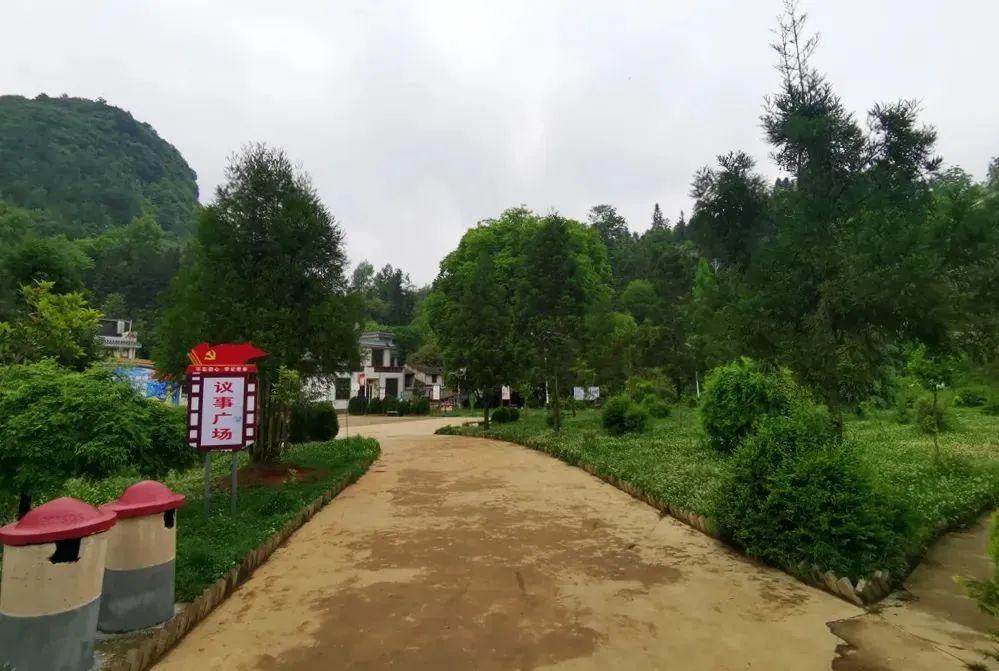 宣威龙场这棵树已有600多岁当地人称之为树神