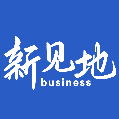 商业新见地
