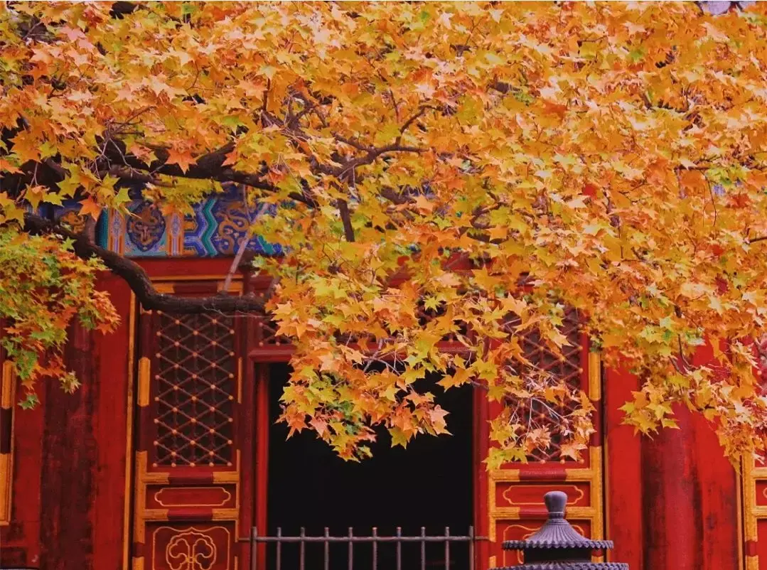 2019北京香山公园红叶观赏攻略（时间+门票+路线）-市区-墙根网