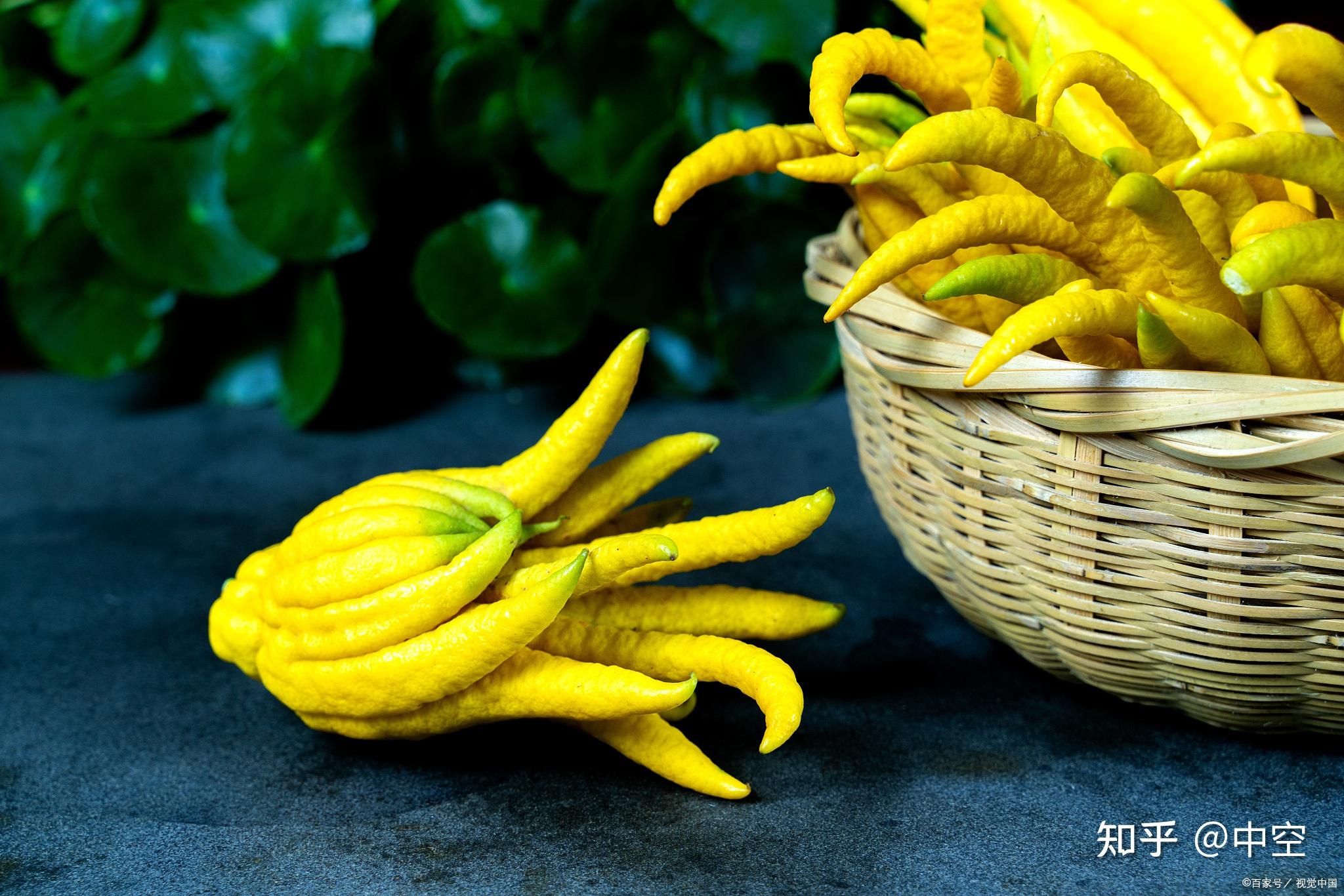 果星来客佛手柑的5种健康益处是什么