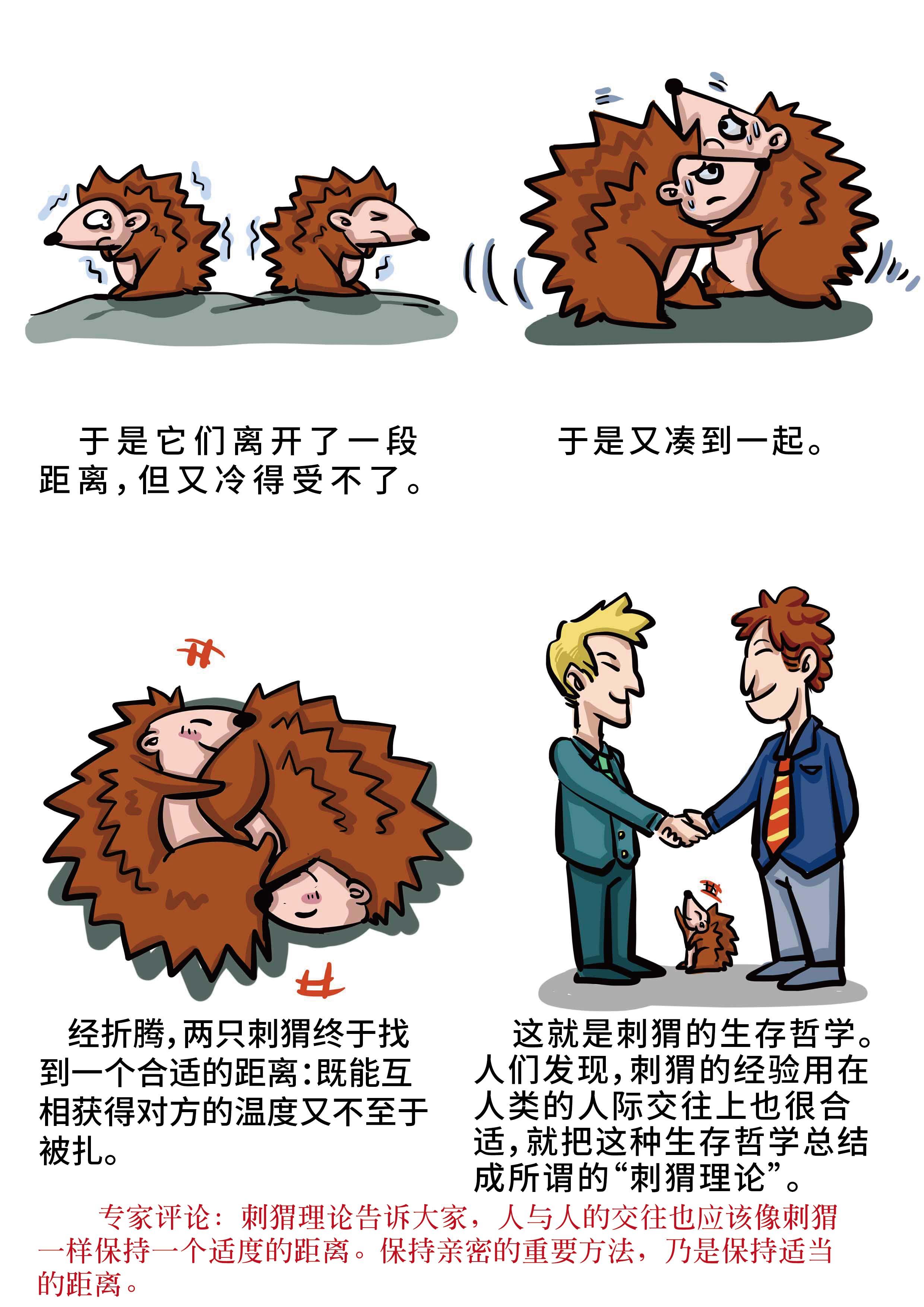 刺猬效应 - 知乎