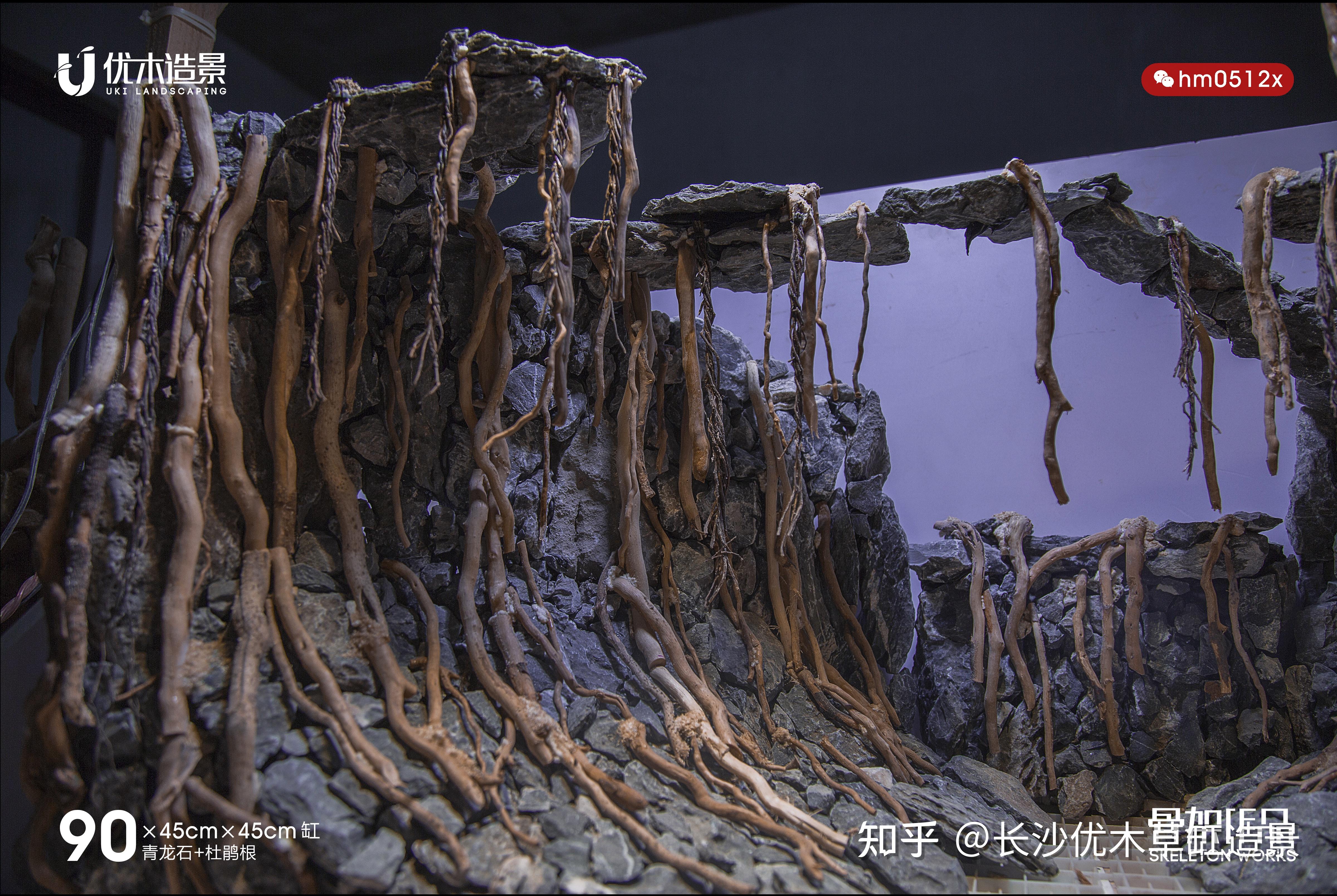 赛级青龙石九零草缸原始垂落风格的草缸造景骨架