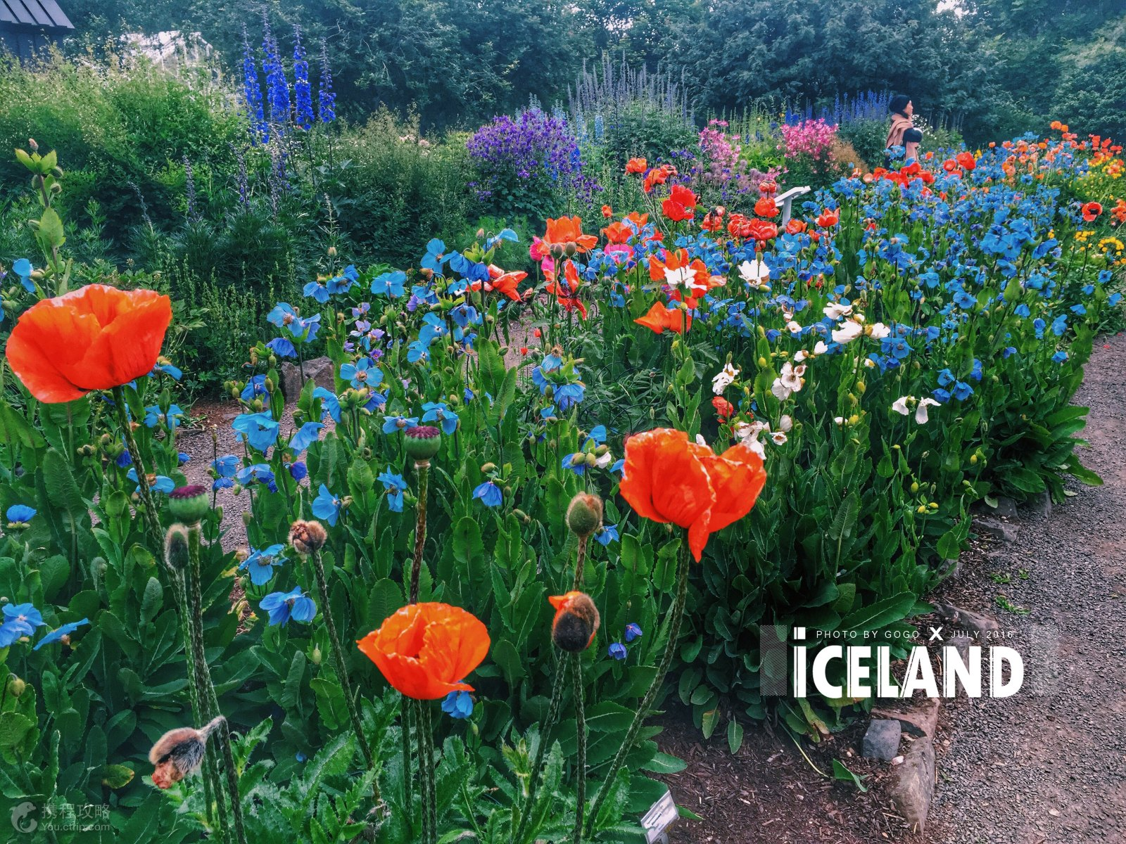 北欧冰岛之景色 - 知乎