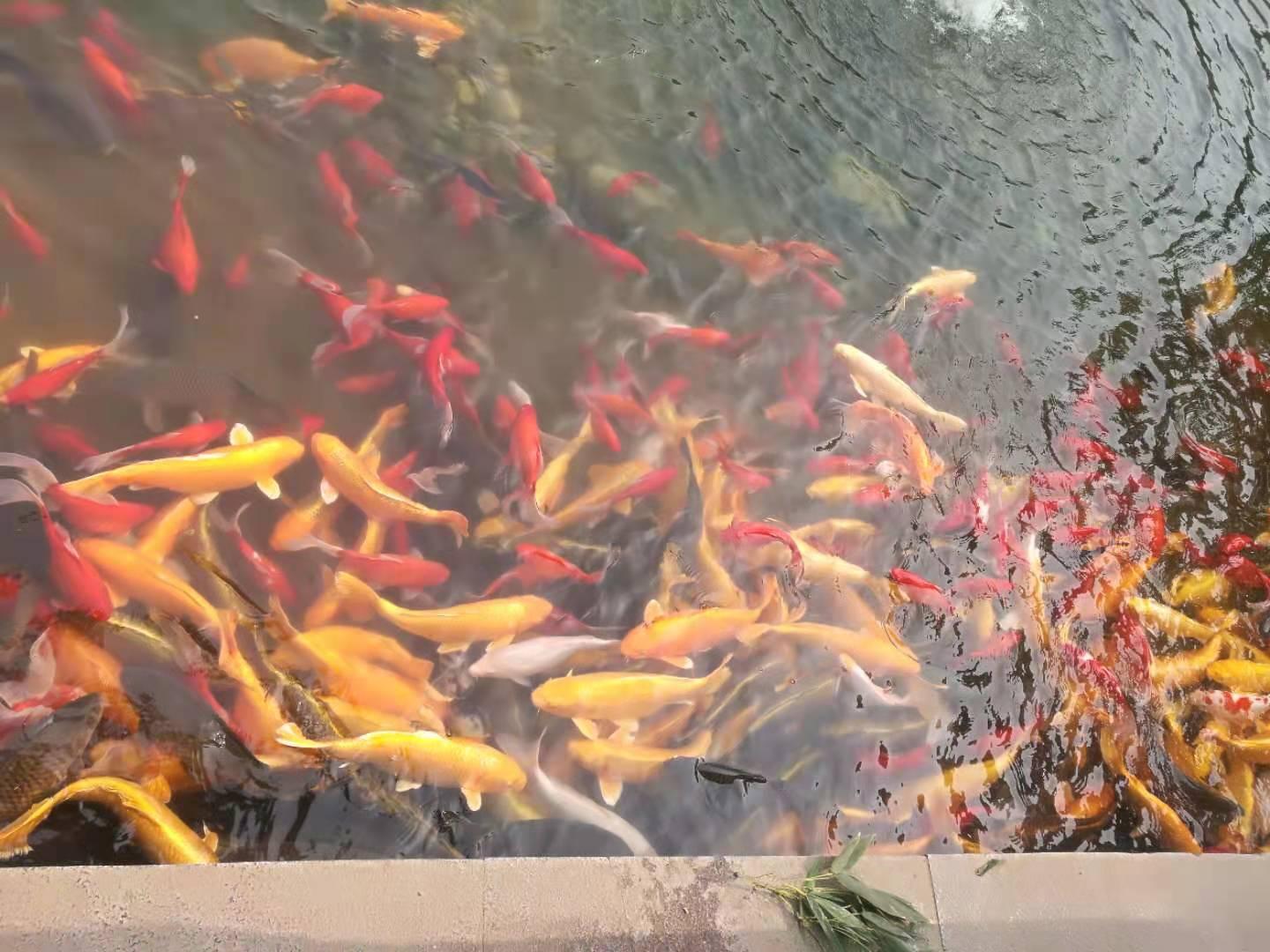 法律英语常用单词 三 知乎 法律英语常用单词 三 知乎