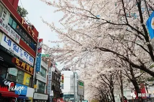 2清潭洞&狎鸥亭  409594&207934