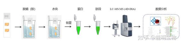 新品速递| 高深度超微量蛋白质组学-切片类样本- 知乎