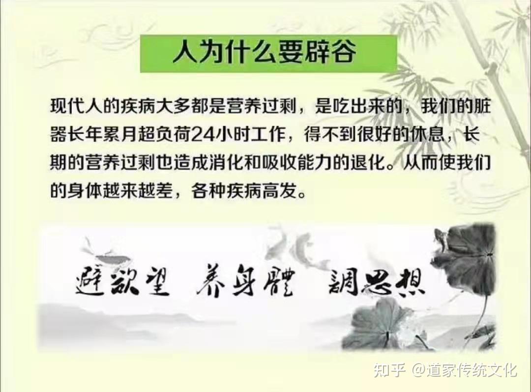 辟谷养生：一场与自然心灵对话之旅
